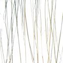 bear grass lite | 3form